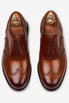 Shop_Bridlen_Brown Wingtip Oxford Shoes  _at_Aza_Fashions