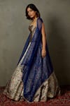 RI.Ritu Kumar_Blue Blouse Polyester Woven Floral Kanika Placket Embroidered Lehenga Set _Online_at_Aza_Fashions