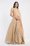 Abhinav Mishra_Beige Lehenga And Dupatta Net Blouse Raw Silk V Mirror Embellished Bridal Set_Online_at_Aza_Fashions
