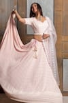 Monk & Mei_Pink Rayon Hand Embroidered Mallika Pastel Lehenga Set _Online_at_Aza_Fashions