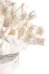 Buy_H2h_White Ceramic Faux Coral Sculpture_Online_at_Aza_Fashions