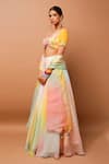 Buy_Ahi Clothing_Multi Color Heavy Organza And Embroidered Hand & Lehenga Set _Online_at_Aza_Fashions