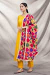 Buy_Samyukta Singhania_Multi Color Phulkari Embroidered Dupatta_Online_at_Aza_Fashions