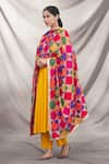 Samyukta Singhania_Multi Color Phulkari Embroidered Dupatta_Online_at_Aza_Fashions