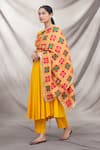 Samyukta Singhania_Multi Color Phulkari Embroidered Dupatta_Online_at_Aza_Fashions