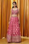 Alaya Advani_Red Patterned Lehenga Set With Embellished Blouse_Online_at_Aza_Fashions