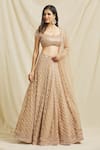 Buy_Shlok Design_Beige Net Embellished Crystal Sweetheart Neck Floral Jaali Lehenga Set _Online_at_Aza_Fashions