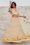 Nikita Vishakha_Yellow Modal, Mohair Zari, Embroidery, Metallic Thread Mesh Blouse Lehenga Set _at_Aza_Fashions