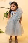 Buy_Lil Angels_Grey Organza Embroidered Dress _at_Aza_Fashions