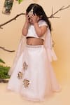 Lil Angels_Pink Organza, Silk Embroidery Lehenga Set _Online_at_Aza_Fashions