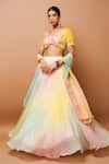 Ahi Clothing_Multi Color Heavy Organza And Embroidered Hand & Lehenga Set _at_Aza_Fashions