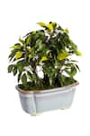 Shop_H2H_Green Polyester And Plastic Artificial Bonsai Plant _Online_at_Aza_Fashions