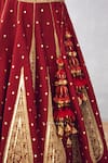 Torani_Red Dupatta Butterfly Net, Lehenga And Blouse Raw Sindoori Suhani Bridal Set _at_Aza_Fashions