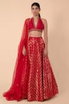 Buy_Ekaya_Red Handwoven Silk Lehenga Set_at_Aza_Fashions