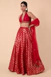 Shop_Ekaya_Red Handwoven Silk Lehenga Set_at_Aza_Fashions