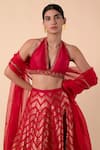 Ekaya_Red Handwoven Silk Lehenga Set_Online_at_Aza_Fashions