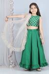 The Little Celebs_Green Silk, Net, Crepe Gota Patti, Fringe Embroidered Blouse Lehenga Set _Online_at_Aza_Fashions