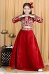 The Little Celebs_Maroon Velvet, Crepe Zari, Embroidery Waistband Lehenga And Blouse Set _Online_at_Aza_Fashions