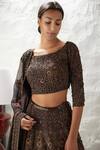 Buy_Nakul Sen_Brown Blouse Embroidered Lehenga Set_Online_at_Aza_Fashions