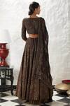 Shop_Nakul Sen_Brown Blouse Embroidered Lehenga Set_at_Aza_Fashions