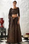 Buy_Nakul Sen_Brown Blouse Embroidered Lehenga Set_at_Aza_Fashions