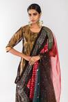Prahnaaya_Dupatta Silk Organza, Kurta Handwoven Zari, Lining Draped Set_at_Aza_Fashions
