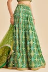 Nitika Gujral_Green  Chinon Badhani And Blouse & Dupatta Net Pattern Set _Online_at_Aza_Fashions