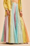 Nitika Gujral_Yellow Organza Embroidery Mirror Blouse V Work Sheer And Panelled Sharara Set _Online_at_Aza_Fashions