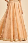 Nitika Gujral_Peach Dupatta And Lehenga Organza & Blouse Net Embroidery Zari Mukaish Work Set _Online_at_Aza_Fashions