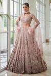 Dolly J_Pink Tulle V Neck Carolina Shimmer Lehenga Set _Online_at_Aza_Fashions