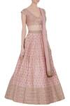 Anushree Reddy_Pink Embroidered Lehenga Set_Online_at_Aza_Fashions