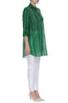 Aalyxir_Green Chanderi Striped Shirt_Online_at_Aza_Fashions