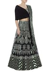 Reeti Arneja_Black Applique Work Organza Lehenga Set_Online_at_Aza_Fashions