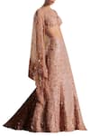 Mahima Mahajan_Peach Fish Cut Lehenga Skirt With Embellished Blouse And Dupatta_Online_at_Aza_Fashions