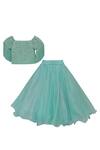 Fayon Kids_Green Organza Pearls, Sequins Embroidered Blouse With Shimmer Skirt _Online_at_Aza_Fashions