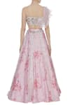 Shop_Mani Bhatia_Pink Silk And Net Printed Rose Lehenga & Embroidered Ruffled Blouse With Dupatta _at_Aza_Fashions