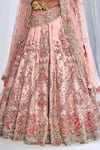 Buy_Dolly J_Pink Silk Embroidery Plunge Neck Hazel Raw Bridal Lehenga Set _Online_at_Aza_Fashions