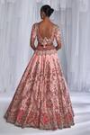 Shop_Dolly J_Pink Silk Embroidery Plunge Neck Hazel Raw Bridal Lehenga Set _Online_at_Aza_Fashions