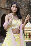 Nitisha Kashyap Official_Yellow Silk, Net Sequins, Cut Work, Mirrors, Scallop Hem Embroidered Lehenga Set _at_Aza_Fashions