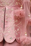 Nitisha Kashyap Official_Pink Georgette, Net, Silk Embroidery, Floral Jaal Peplum Kurta Sharara Set _at_Aza_Fashions