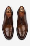 Buy Brown Longwing Derby Shoes For Men by Bridlen Online at Aza Fashions.