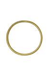 Aaree Accessories_Gold Plated Circular Shape Hoops_Online_at_Aza_Fashions