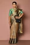 Buy_Nazaakat by Samara Singh_Brown Tanchoi Silk Woven Swirl Floret And Saree_Online_at_Aza_Fashions