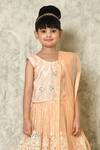 Petite Pomme_Peach Net Embroidery, Mirrors Work Embellished Lehenga Set_Online_at_Aza_Fashions