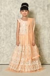 Buy_Petite Pomme_Peach Net Embroidery, Mirrors Work Embellished Lehenga Set_Online_at_Aza_Fashions