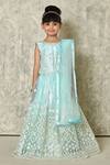 Buy_Petite Pomme_Sky Blue Net Embroidery, Sequins Geometric Cluster Threadwork Lehenga Set_Online_at_Aza_Fashions