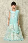 Buy_Petite Pomme_Sky Blue Net Mirrors, Embroidery Bageecha Pattern Lehenga Set_Online_at_Aza_Fashions