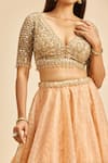 Buy_Nitika Gujral_Peach Dupatta And Lehenga Organza & Blouse Net Embroidery Zari Mukaish Work Set _Online_at_Aza_Fashions
