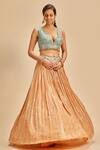 Nitika Gujral Orange Lehenga Chinnon Embroidery Resham V Neck Set Online at Aza Fashions Nitika Gujral_Orange Lehenga Chinnon Embroidery Resham V Neck Set _Online_at_Aza_Fashions