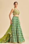 Buy_Nitika Gujral_Green  Chinon Badhani And Blouse & Dupatta Net Pattern Set _Online_at_Aza_Fashions